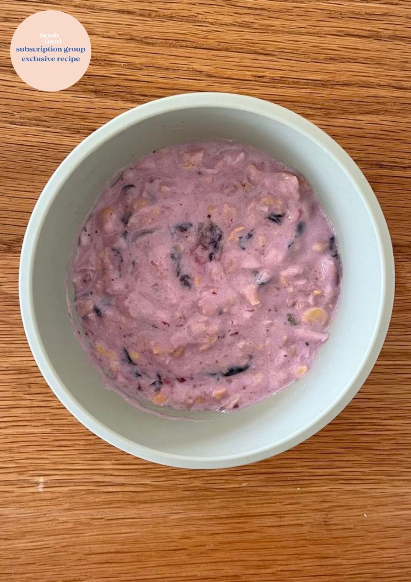 Chickpea and Blueberry Puree AND Ice Blocks