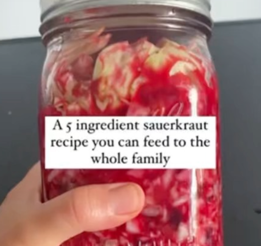 Home Made Sauerkraut