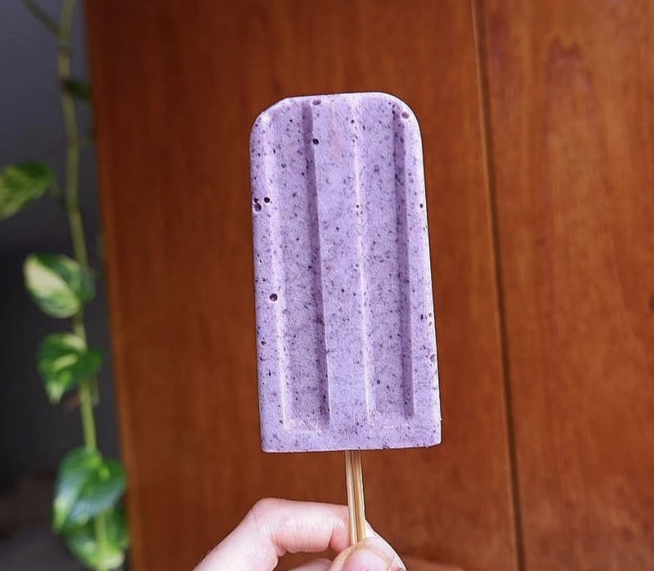 Blueberry Ice-Blocks