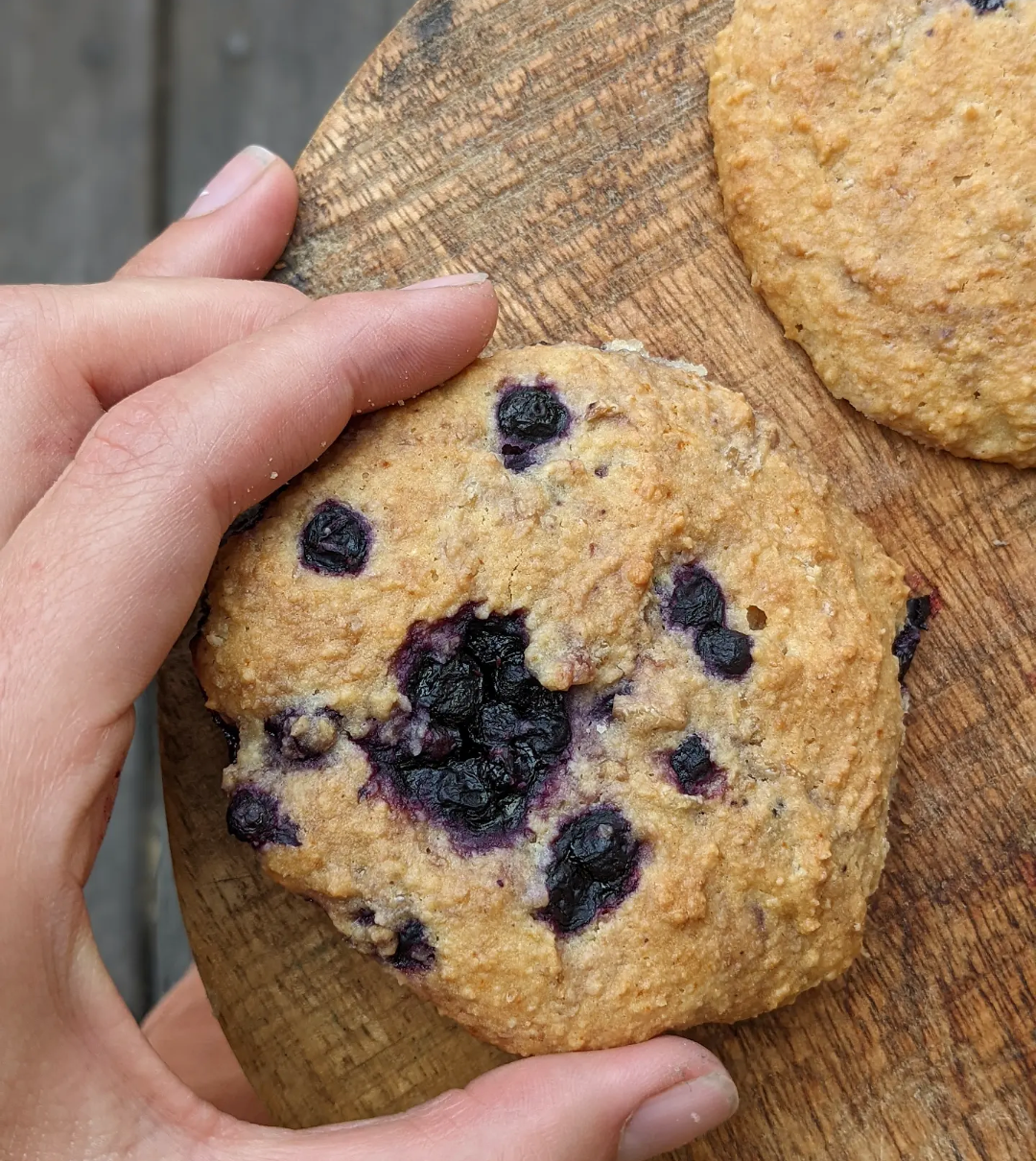 Porridge Blueberry Cookies