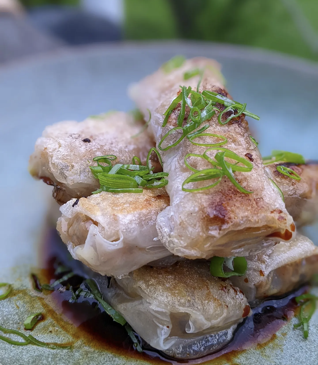 Beef Rice Paper Roll Dumplings