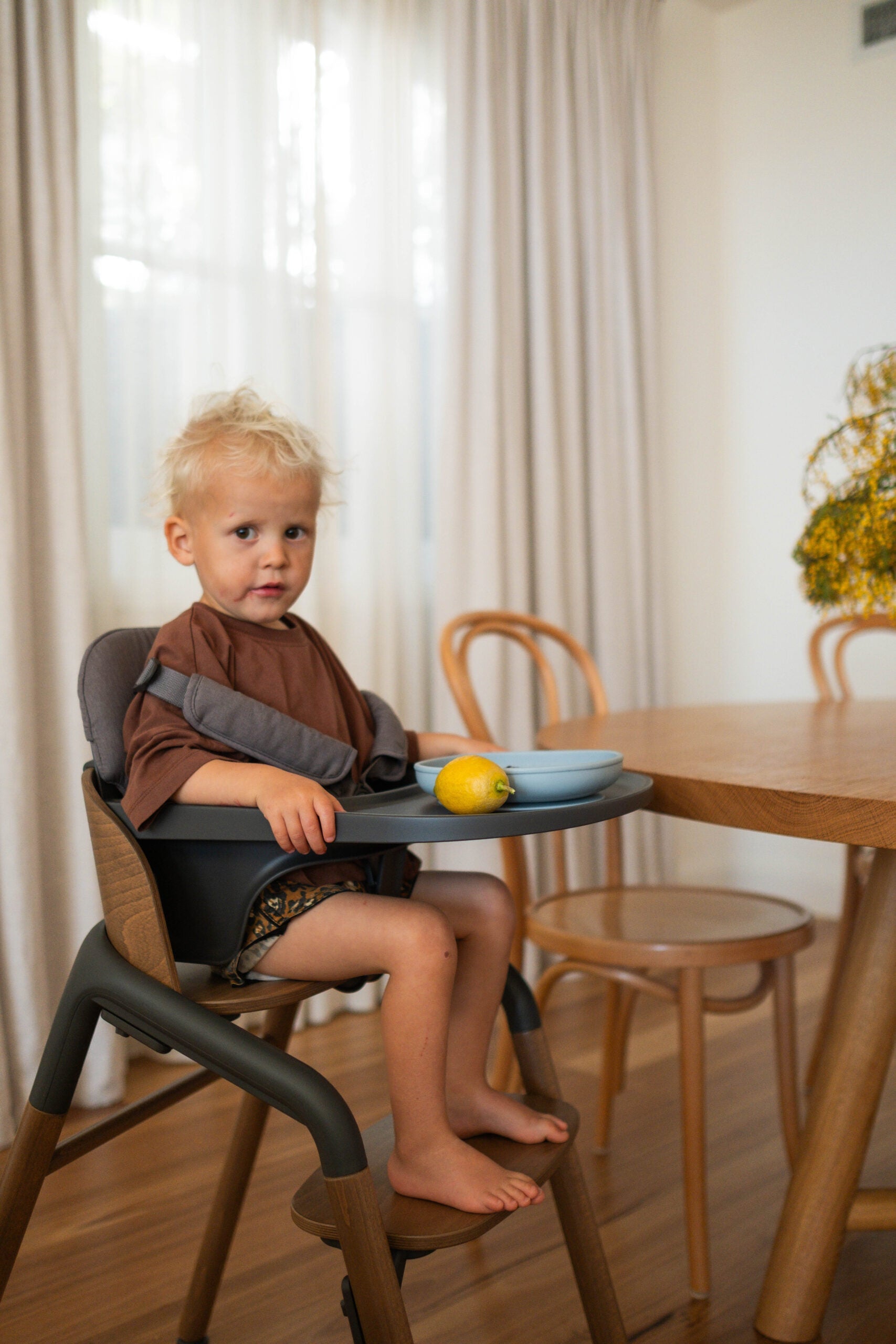 Highchair Refusal