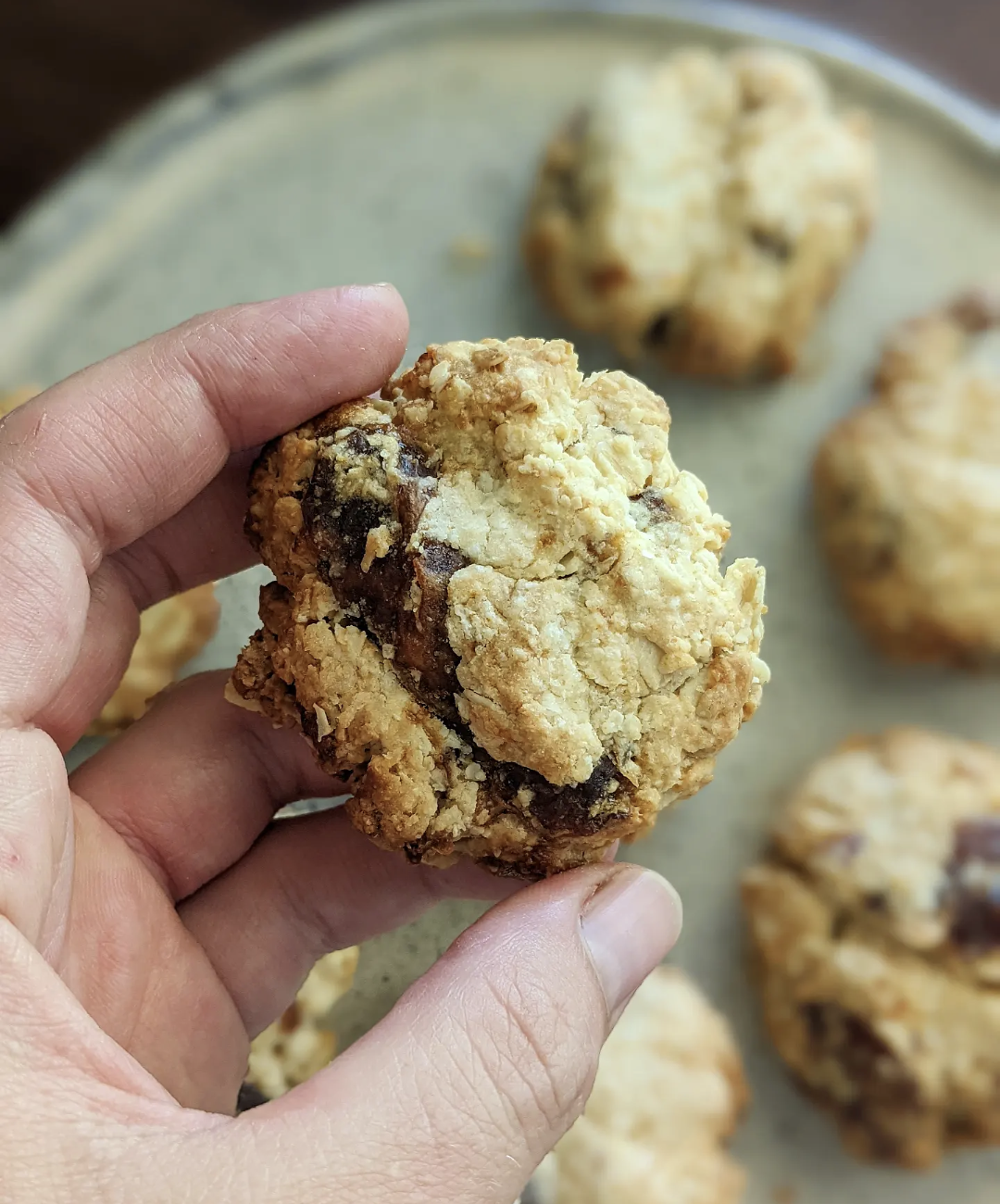 Oat + Apricot Biscuits